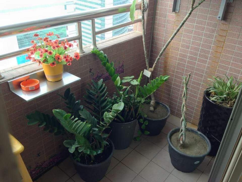 Appartamento Jia Jia House Kaohsiung Esterno foto
